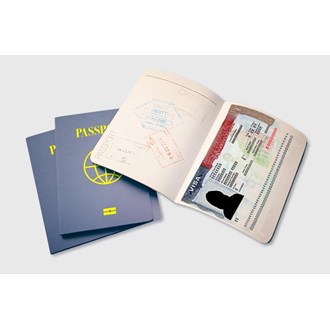 Assessorias Visto e Passaporte